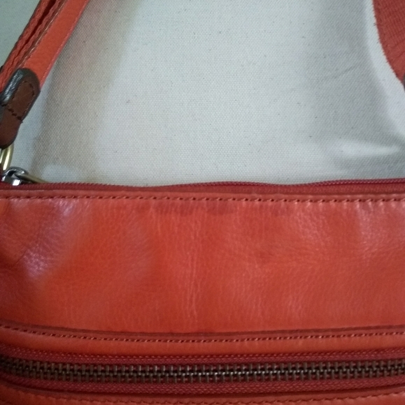 The flawed fossil purse - Picture 12 of 12